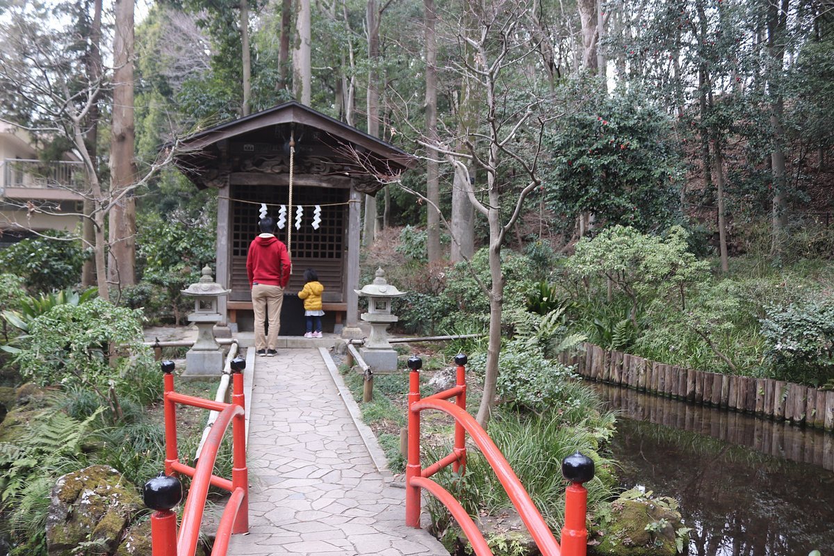 🏞️ 오타카노미치·마스가타노이케 용수군 이미지 4